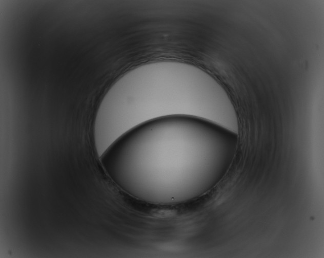 X0000090620649200707171103