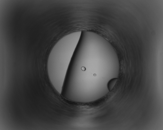 X0000090620650200707171103