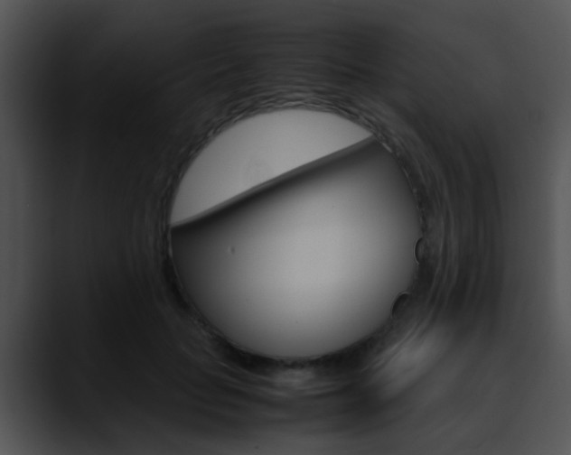 X0000090620653200707171103
