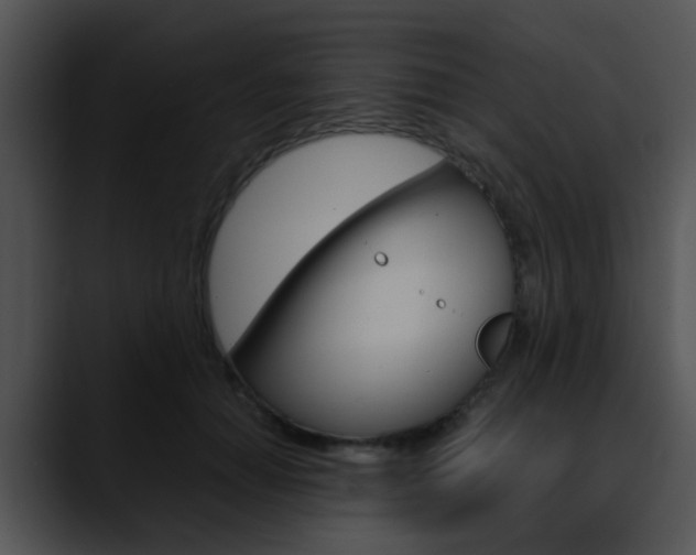 X0000090620654200707171103