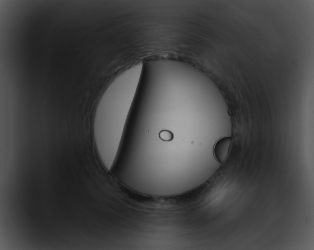 X0000090620656200707171103