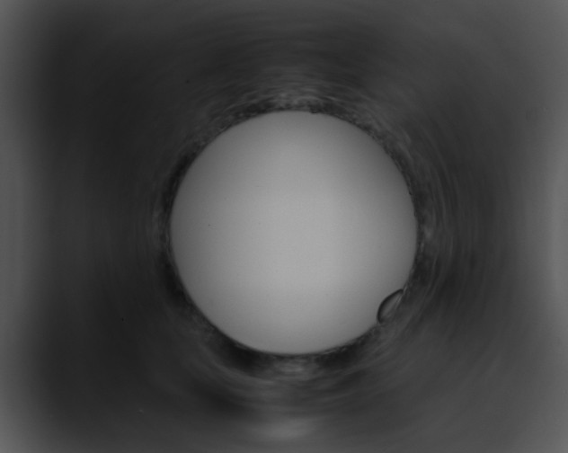 X0000090620659200707171103
