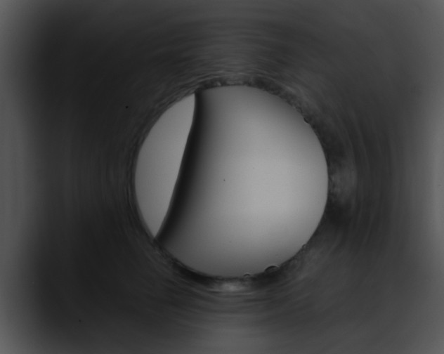 X0000090620662200707171103