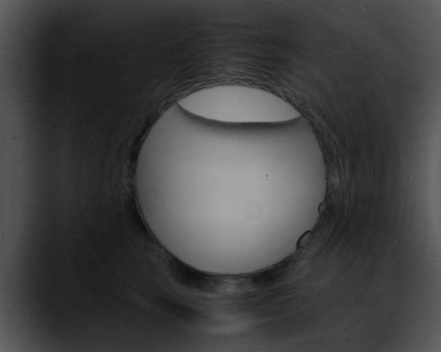 X0000090620663200707171103