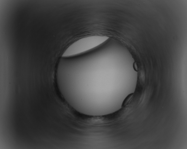 X0000090620668200707171103