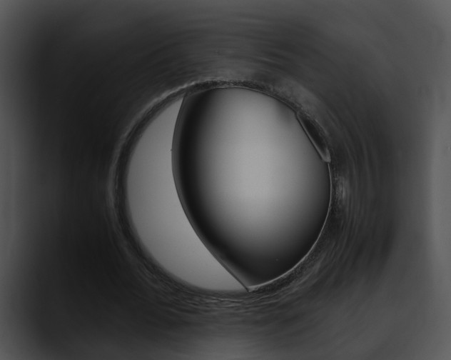 X0000090620676200707171103