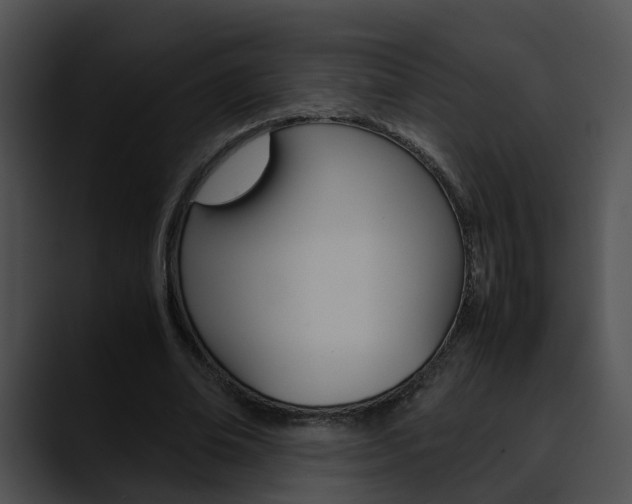 X0000090620678200707171103