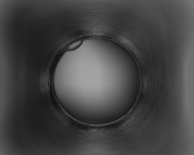 X0000090620680200707171103