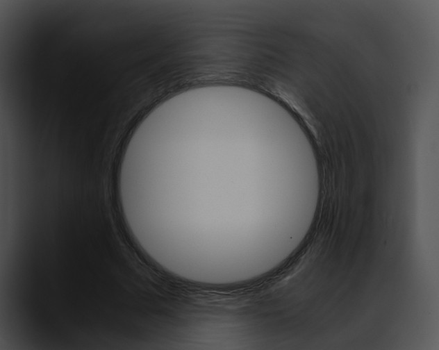 X0000090620681200707171103