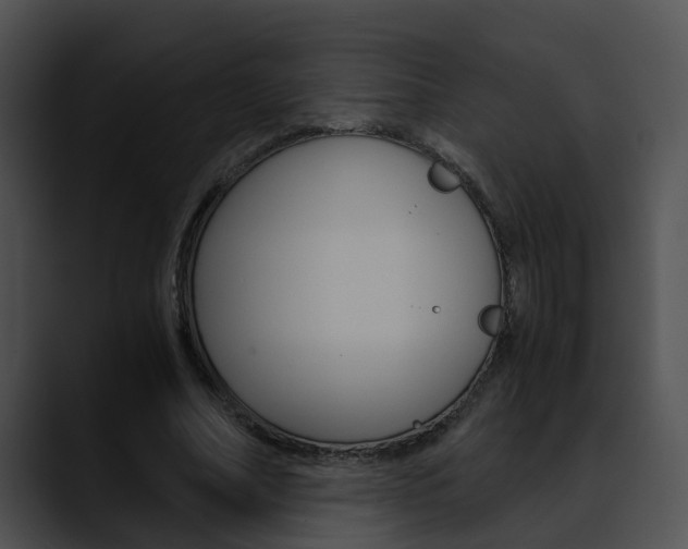 X0000090620682200707171103