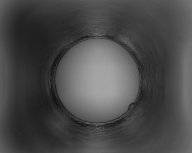 X0000090620683200707171103