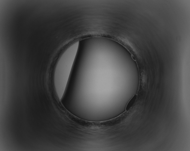 X0000090620684200707171103