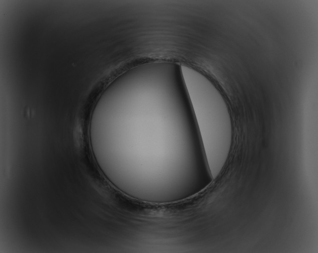 X0000090620688200707171103