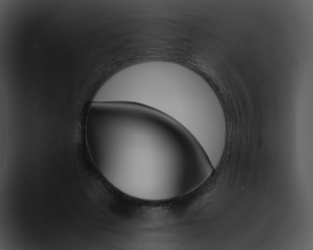 X0000090620689200707171103
