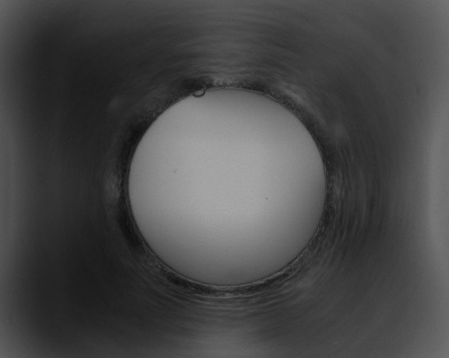 X0000090620691200707171103