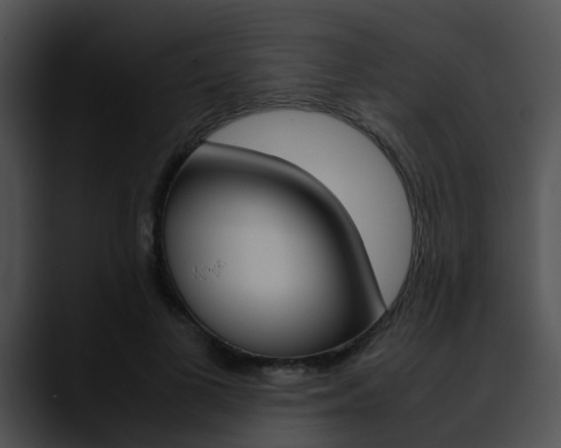 X0000090620693200707171102