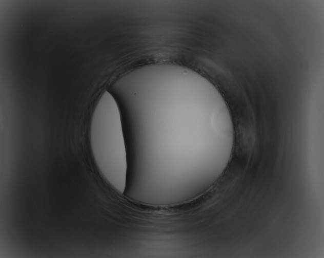 X0000090620698200707171102