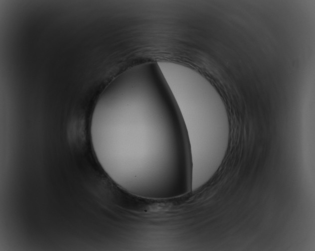 X0000090620700200707171102
