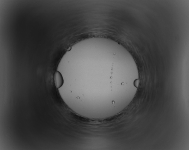 X0000090620703200707171102