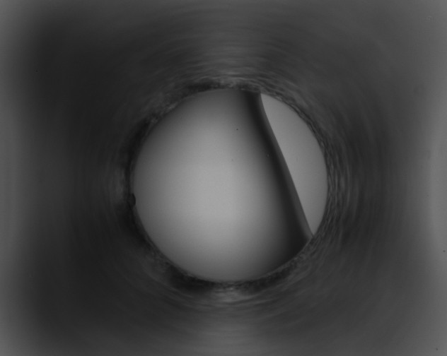 X0000090620704200707171102