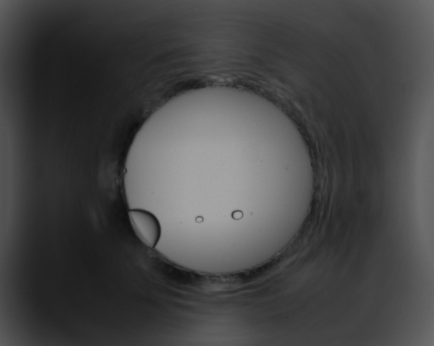 X0000090620707200707171102