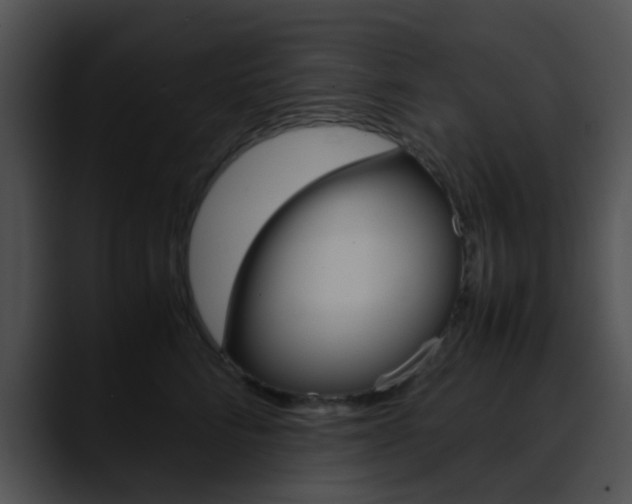 X0000090620712200707171102