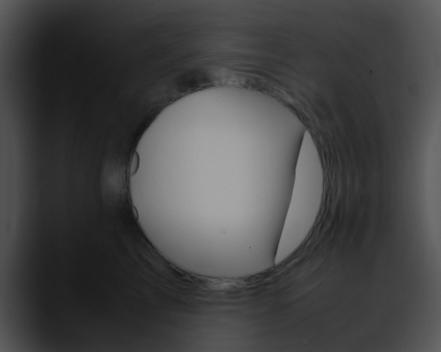 X0000090620713200707171102