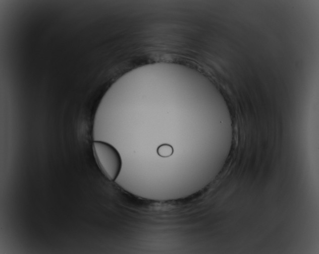 X0000090620714200707171102