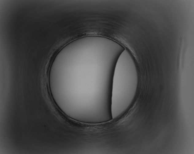 X0000090620721200707171102