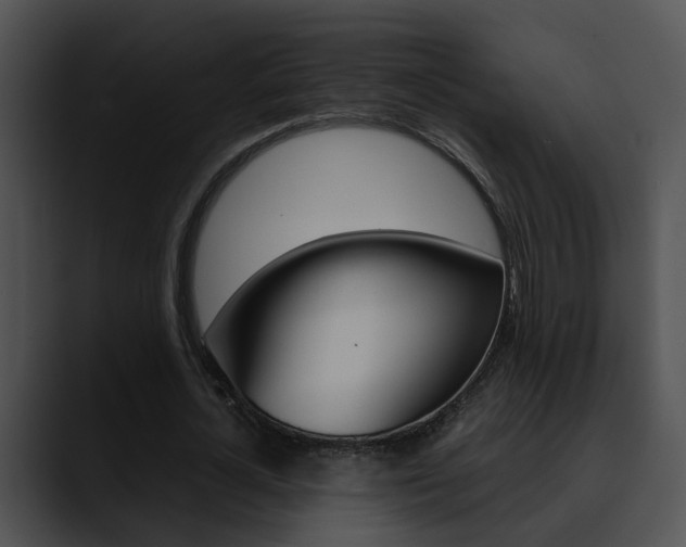 X0000090620724200707171102