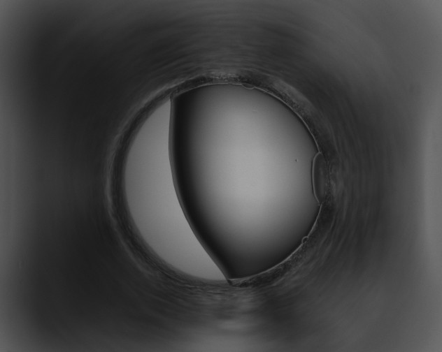 X0000090620728200707171102