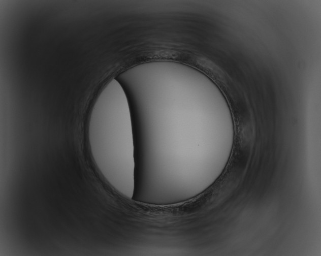 X0000090620729200707171102