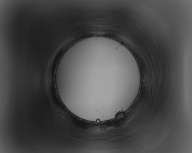 X0000090620731200707171102