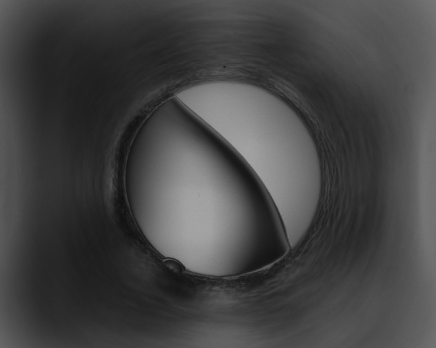 X0000090620732200707171102