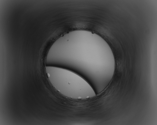 X0000090620735200707171102
