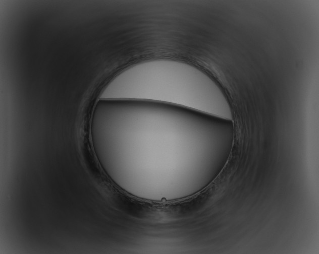 X0000090620736200707171102