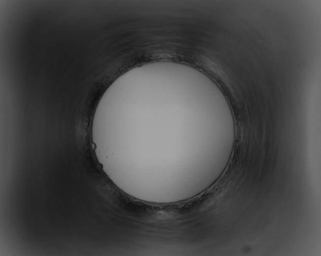 X0000090620737200707171102