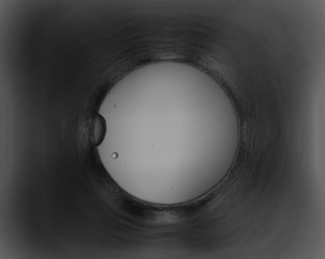 X0000090620741200707171102