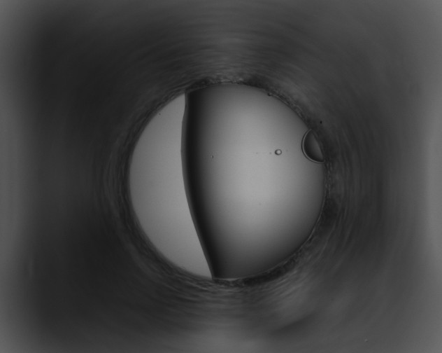 X0000090620742200707171102