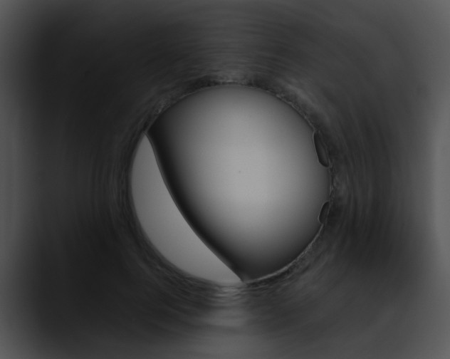 X0000090620744200707171102