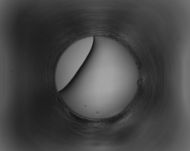 X0000090620745200707171102