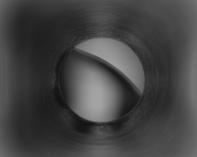 X0000090620752200707171102