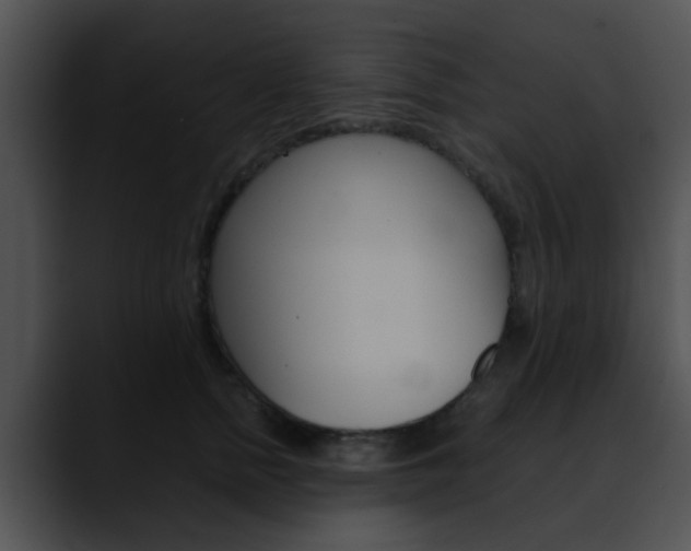 X0000090620758200707171102