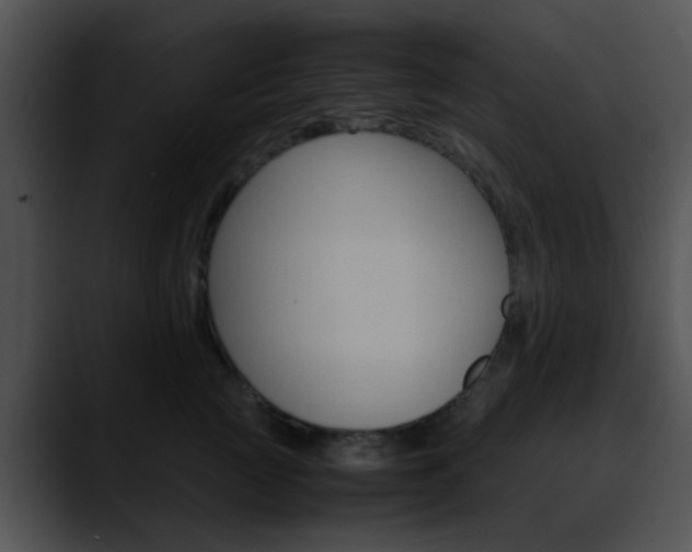X0000090620761200707171102