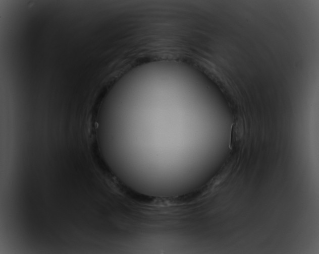 X0000090620764200707171102
