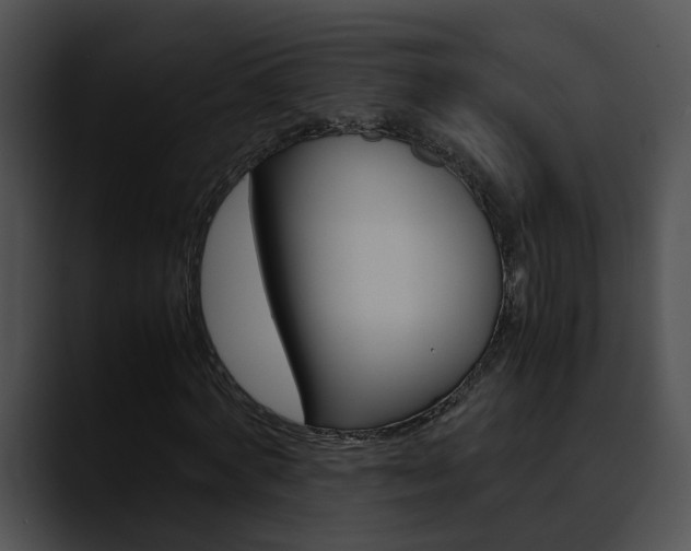 X0000090620772200707171102