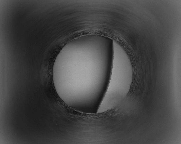 X0000090620773200707171102