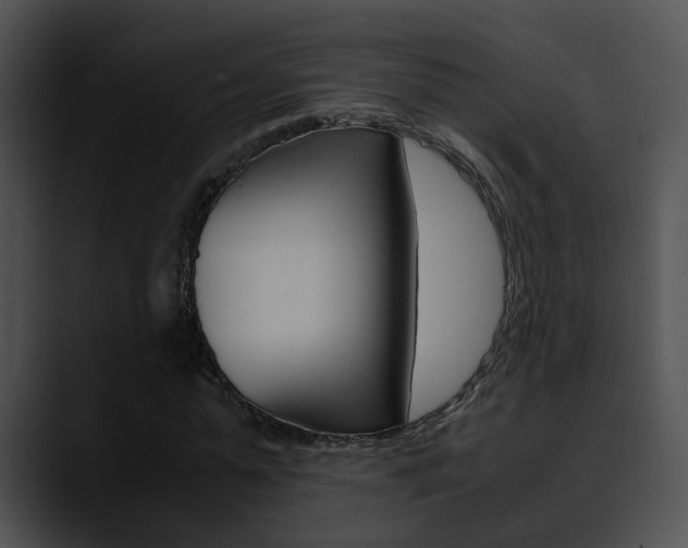 X0000090620775200707171102