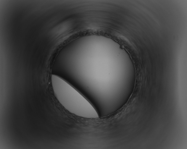 X0000090620776200707171102