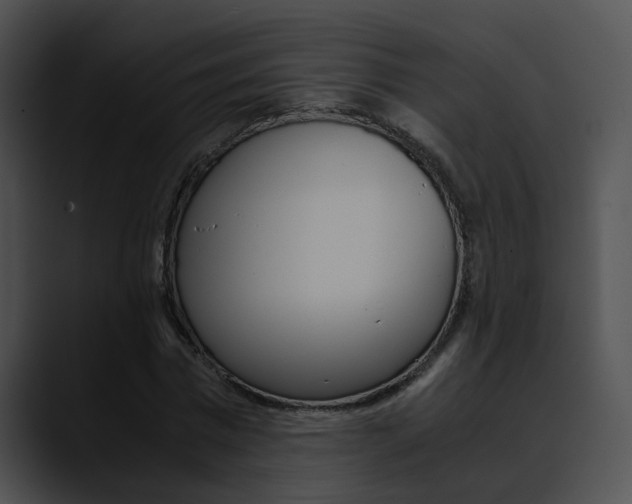 X0000090620777200707171102